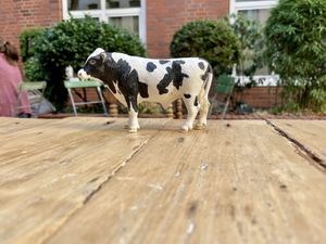   at Hommage in Cologne