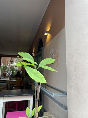 Outside seating  at Hommage in Cologne