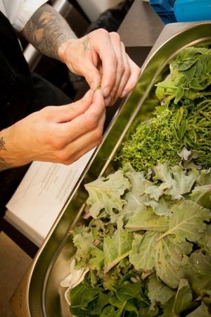 Sea greens foraged for one of my supper clubs  at BearKat Bistro in Bridport