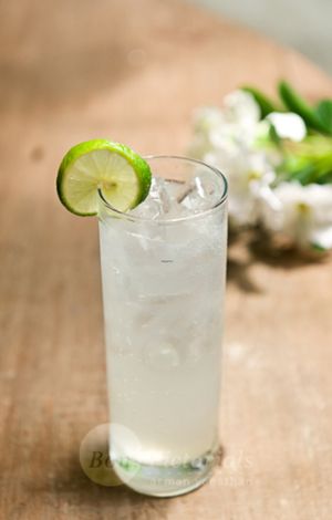 Lime Squash at Grassland Vegetarian Restaurant in Jakarta