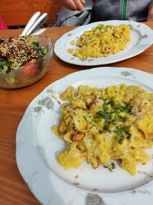 Kässpätzle mit Salat at Huendeleskopfhuette in Pfronten-kappel