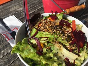 Mixed salad - best salad I ever had! at Huendeleskopfhuette in Pfronten-kappel