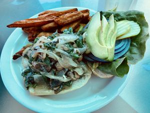 The “Farm Fresh Vegan” with vegan mozzarella and sweet potato fries was absolutely delicious! A little messy to eat though. :) at Priest Station Cafe in Big Oak Flat