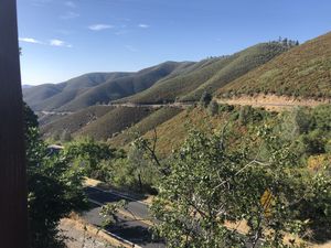 The view from the outside patio   at Priest Station Cafe in Big Oak Flat
