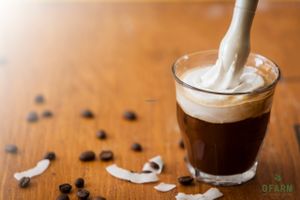 Vegan Vienna with coconut Milk at oFarm Organic Cafe in Brookvale