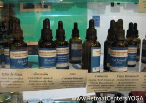  at Ecosavia in Bogota