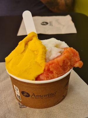 Mango, lemon and blood orange,  absolutely delicious. at Amorino in Valletta
