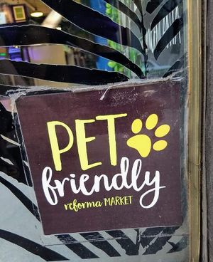 Always friendly with our dog! 💜 at Reforma Market in Veracruz