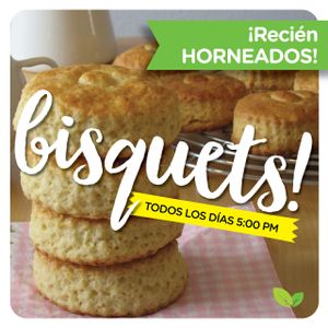 Bisquets  con ghee o cajeta orgánica de avellanas. at Reforma Market in Veracruz