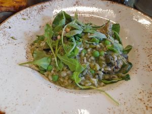 Risotto at Zizzi - Bene't St in Cambridge