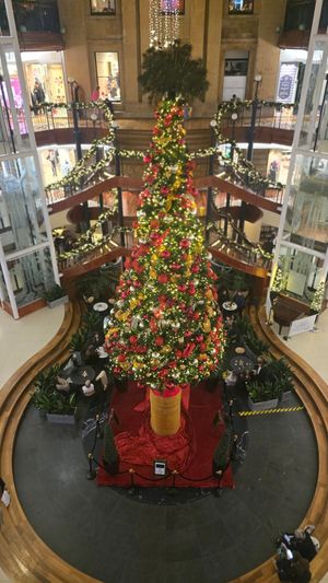  at Zizzi - Princes Square in Glasgow