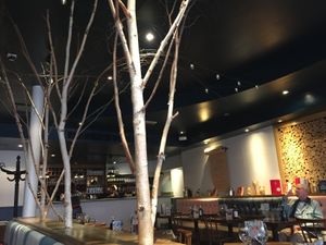 Interior 🌿 at Zizzi - Earls Court in South West London