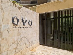  at OVO in Kuwait City