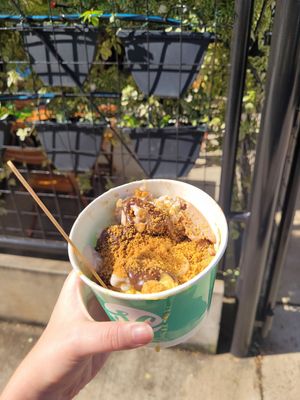 *Vegano at Sorvete em Camadas in Campinas