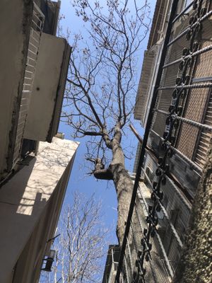 View upwards from the courtyard   at Yasam Vegan Kafe in Izmir