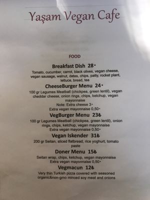 Menu at Yasam Vegan Kafe in Izmir
