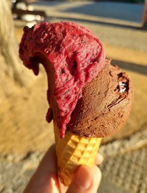 Blueberry and chocolate rum at Gelato Artigianale  in Prague