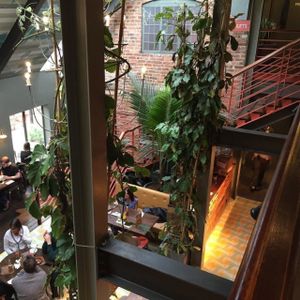 Interior at Las Iguanas in Derby