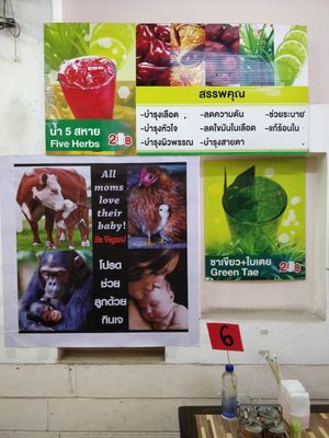 All moms LOVE their Babies. Be vegan! at Jai Mai Jumjay in Chiang Mai