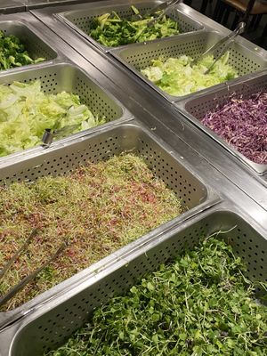 Fresh ssam / lettuce bar  at Sujata 수자타 in Gwangju