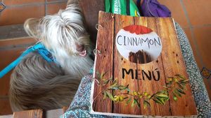 Pet-friendly Cinnamon 💜 at Cinnamon Veggie in Cuernavaca