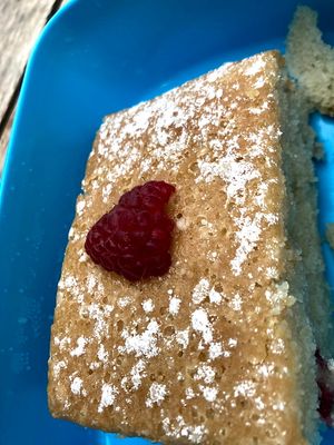 victoria sponge at Chesters by the River in Skelwith Bridge