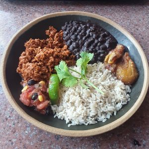 Rice Bowl with Meatless Chorizo - NO cheese - meatless chorizo, black beans, cilantro rice, fried plantains & salsa at Universal Studios - Thunder Falls Terrace in Orlando
