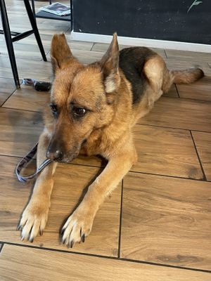   at Faloviec Kuchnia Roślinna in Gdansk