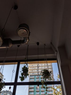 Inside at Faloviec Kuchnia Roślinna in Gdansk