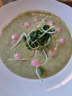 Avocado soup at Faloviec Kuchnia Roślinna in Gdansk