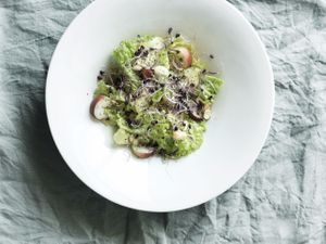 insalata de l_ortobistrot at L'ortobistrot in Morcote