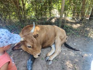  at Santuario Gaia in Camprodon