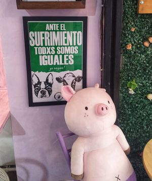 🌱 at Frambuesa Pastelería Vegan in Bogota