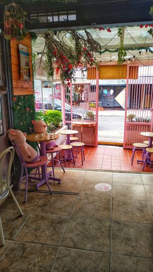 Ambiente Vegan💞 at Frambuesa Pastelería Vegan in Bogota