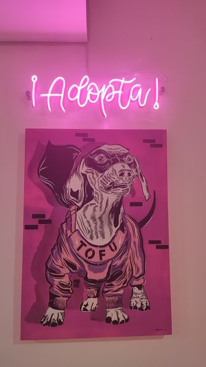  at Frambuesa Pastelería Vegan in Bogota