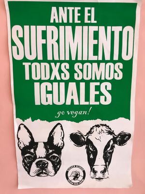 In terms of suferment,  we are all the same.  at Frambuesa Pastelería Vegan in Bogota