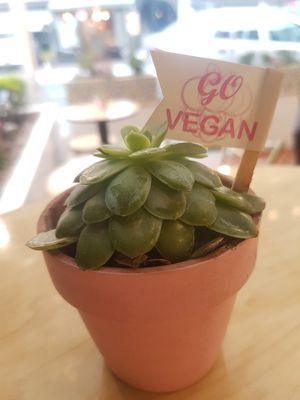 Table decoration at Frambuesa Pastelería Vegan in Bogota