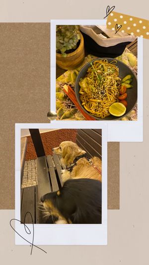 Vegan option and dog friendly   at Ritual in Vila Nova De Milfontes