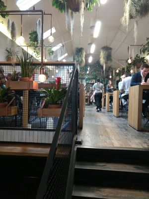 Big at Pinkmans in Bristol