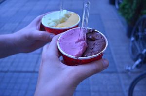 Some vegan flavors. Always ask, not all ice cream is vegan at Il Gelato di Bruno in Timisoara