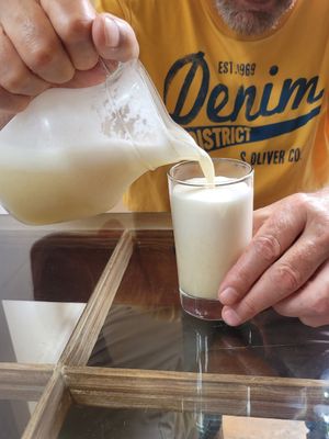 very watery juice, expensive at La Bodega Verde in Lima
