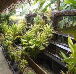 Sala Mexicali  at Sala Mexicali in Phuket