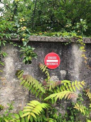 Loved this! It means hunting is prohibited! at La Cure du Maine Charles in Birac