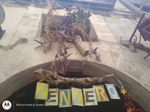 Great spot at Zenzero in Siracusa