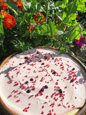 Raspberry Cheesecake at Big V Sanctuary in Chateauponsac