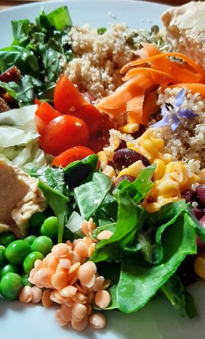 Buddha Bowls, stuffed full of garden picked produce, fantastic at Big V Sanctuary in Chateauponsac