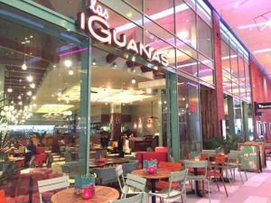 Las Iguanas - Wembley at Las Iguanas - Wembley in North West London