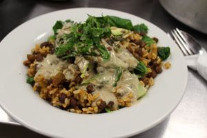 Buddha Bowl at The Pod in Coventry