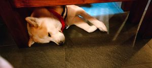  at Chay Umi in Berlin