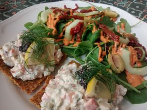 Raw food lunch, very delicious and filling at Mandel & Malla in Kivik